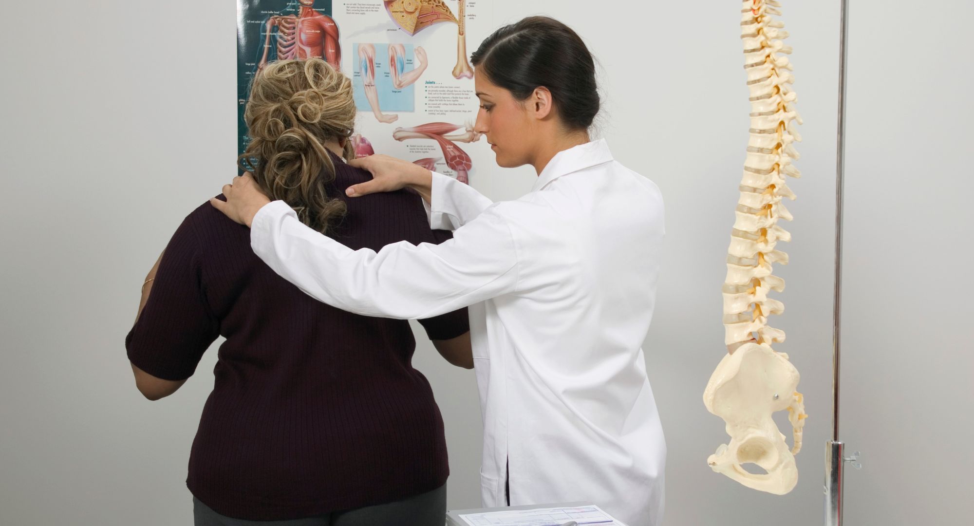 chiropractor adjust a patient's back
